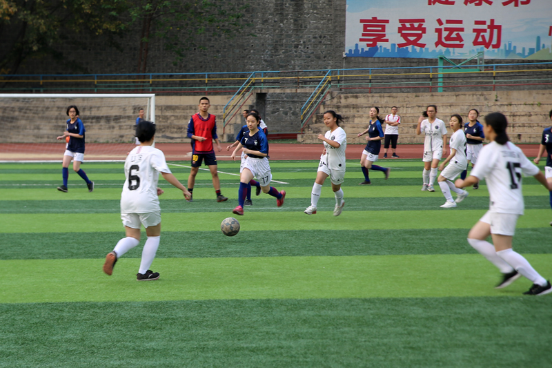 八强逐鹿足球赛，龙争虎斗尽豪情